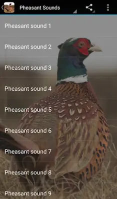 Pheasant Sounds android App screenshot 0